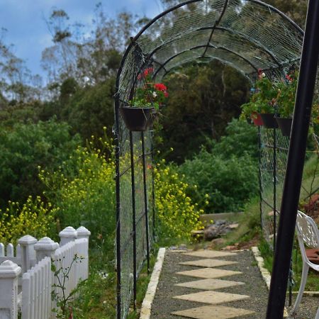 Newbury Villa Nuwara Eliya Exteriör bild